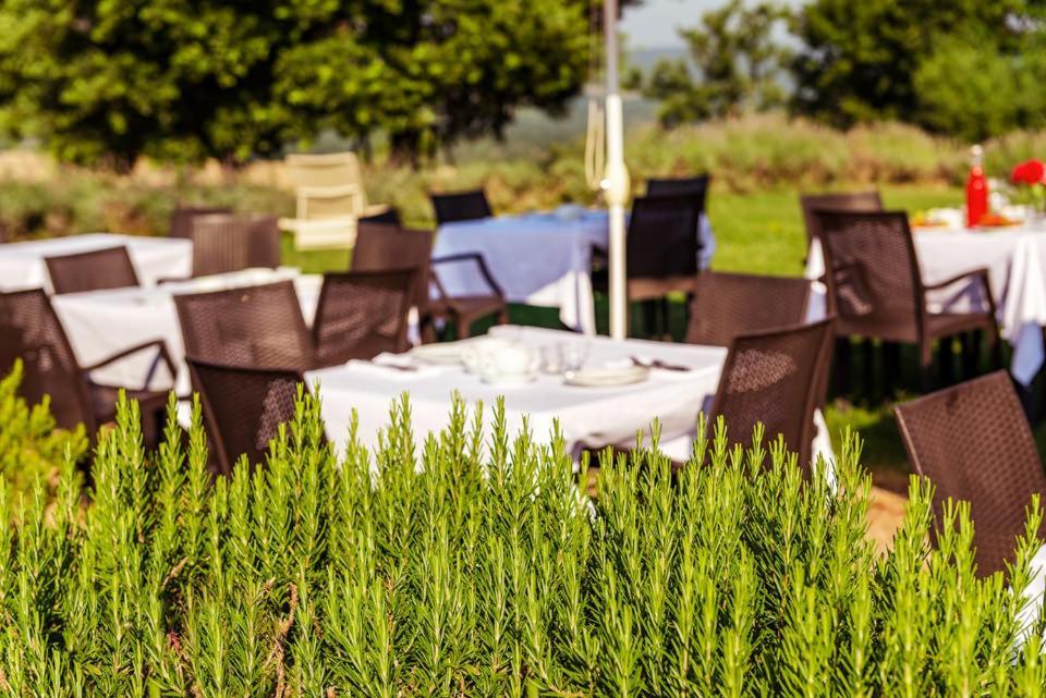 Agriturismo & Cantina Tenuta Casteani Ribolla Exterior photo